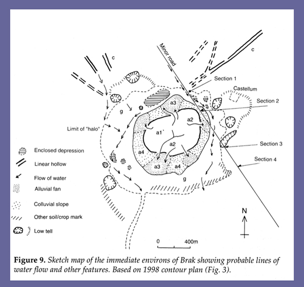 Figure 3 from Wilkinson et al. 2001.